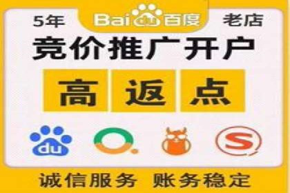 谷歌SEM广告投放的ROI优化：一家科技公司的成功经验