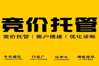 百度推广的创意广告形式案例